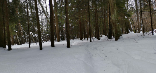 Similar image 21743928