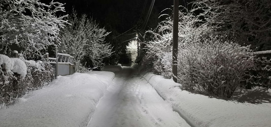 Similar image 21743930