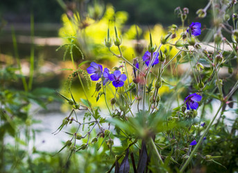 Similar image 21744872