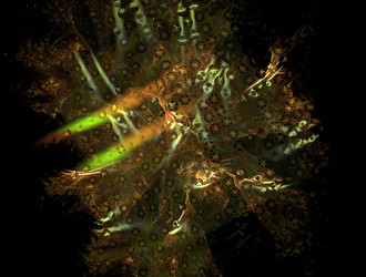 Similar image 21759677