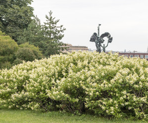 Similar image 21747787