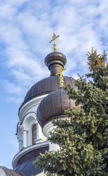 Similar image 21745031