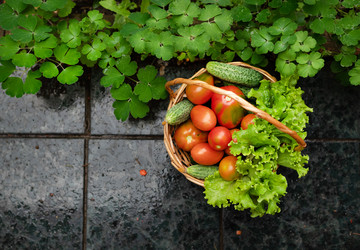 Similar image 21750657