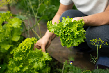 Similar image 21750658