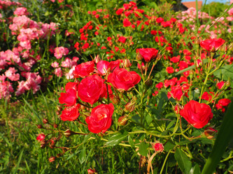 Similar image 21751319