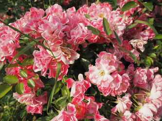 Similar image 21751322