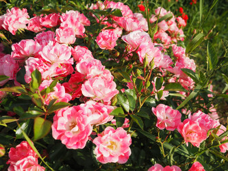 Similar image 21751326