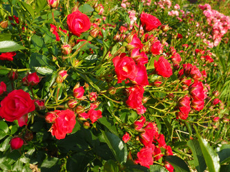 Similar image 21751330