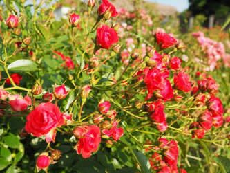 Similar image 21751332