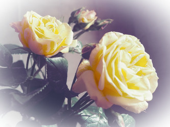 Similar image 21751333