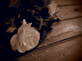 Similar image 21751335