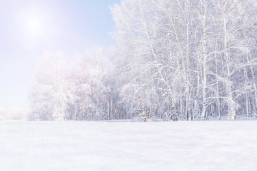 Similar image 21743940