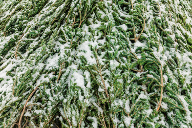 Similar image 21744147