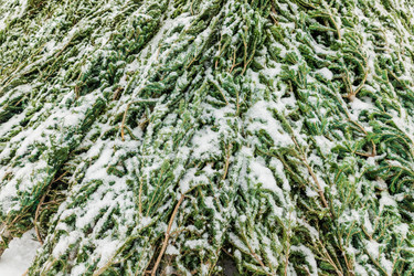 Similar image 21743947