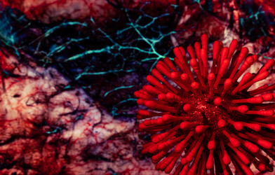 Similar image 21743953