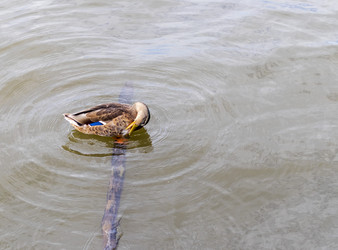 Similar image 21746168