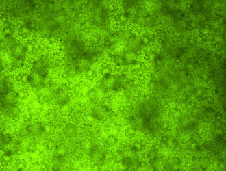 Similar image 21759291