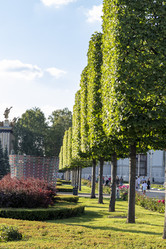 Similar image 21745959