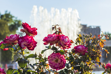 Similar image 21746173