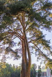 Similar image 21748053