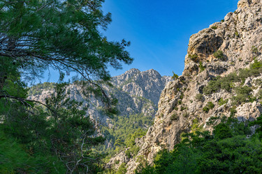 Similar image 21751120