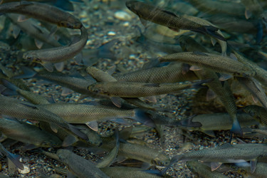 Similar image 21748776