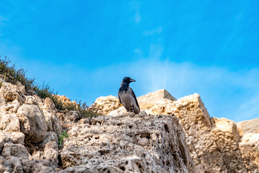 Similar image 21748777