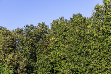 Similar image 21747813