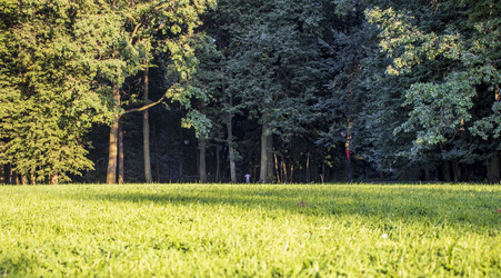 Similar image 21747815