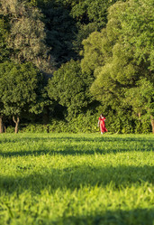 Similar image 21747821