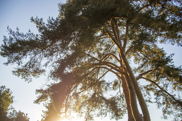 Similar image 21747824