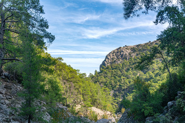 Similar image 21746750