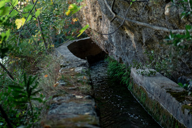 Similar image 21749343