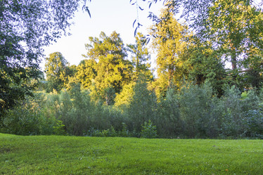 Similar image 21747018