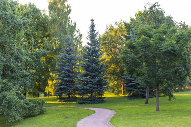 Similar image 21747024