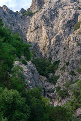 Similar image 21750202