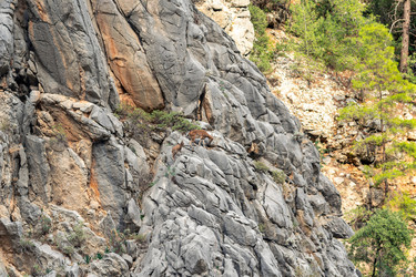 Similar image 21750406