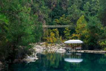 Similar image 21750848