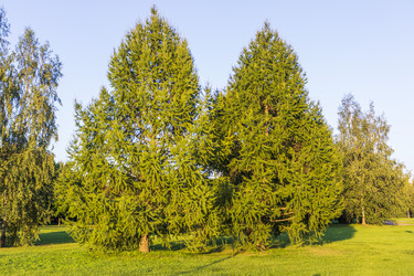 Similar image 21748072