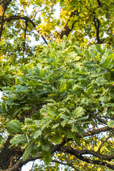 Similar image 21744507