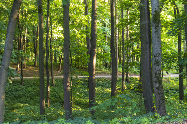 Similar image 21744568