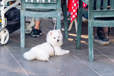 Similar image 21750213