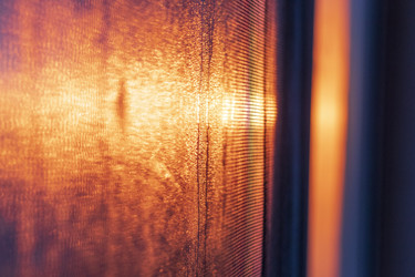 Similar image 21744510