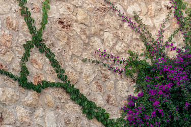 Similar image 21745402