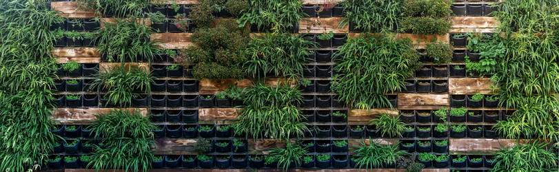 Similar image 21746375