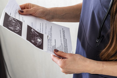 Similar image 21746230