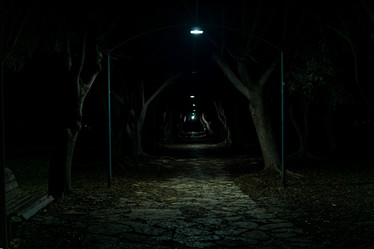 Similar image 21750029