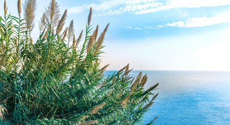 Similar image 21750223