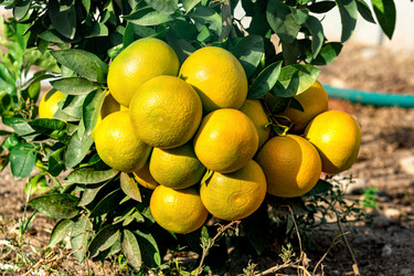 Similar image 21750430