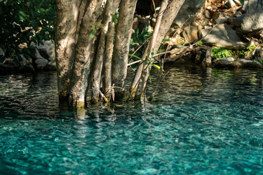 Similar image 21750440